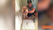 'Dirty Jobs' Star Plays 'Puppy Poop Bingo' To Name New Dog