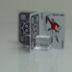 Tally Ho Reverse Fan back (White) Limited Ed. by Aloy Studios - Playing Cards