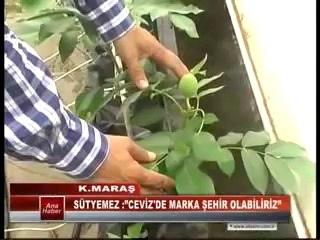 SÜTYEMEZ YAPMIŞ OLDUKLARI ÇALIŞMALARI DEĞERLENDİRDİ