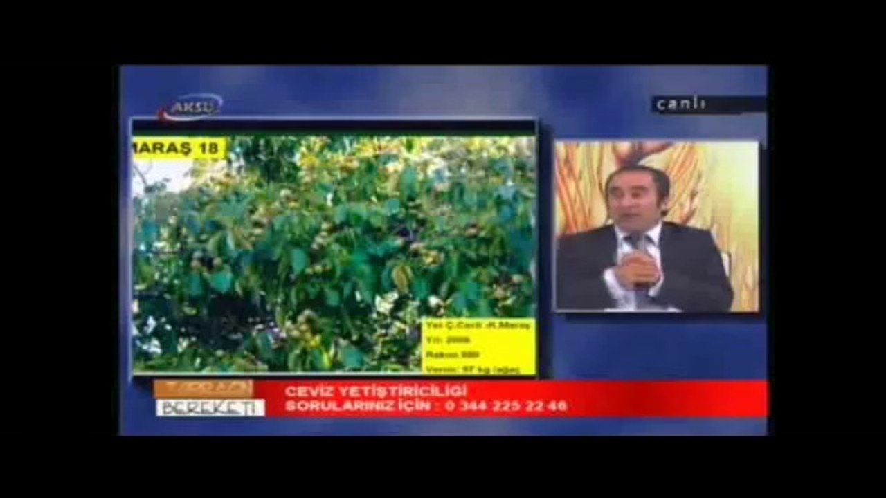 Ceviz Yetiştiriciliği Konuk Mehmet SÜTYEMEZ K.S.Ü.Ziraat Fak. Yrd.Doç.Dr