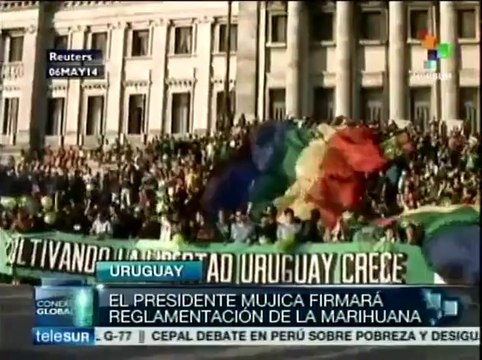 Hoy firma José Mujica reglamento que regula la marihuana en Uruguay