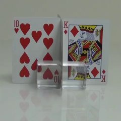 Double (Mirror) Faced Bicycle Deck - Playing Cards
