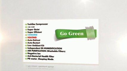 30,000 BTU Mini Split Air Conditioner for a House.