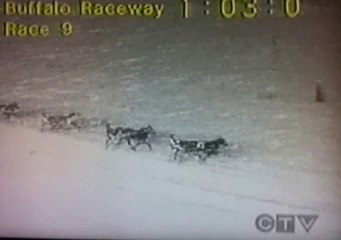 Funniest Horse Race Ever