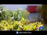 Meri Maa-Episode 137