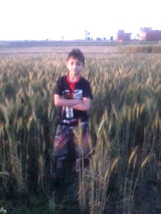 shahmeer