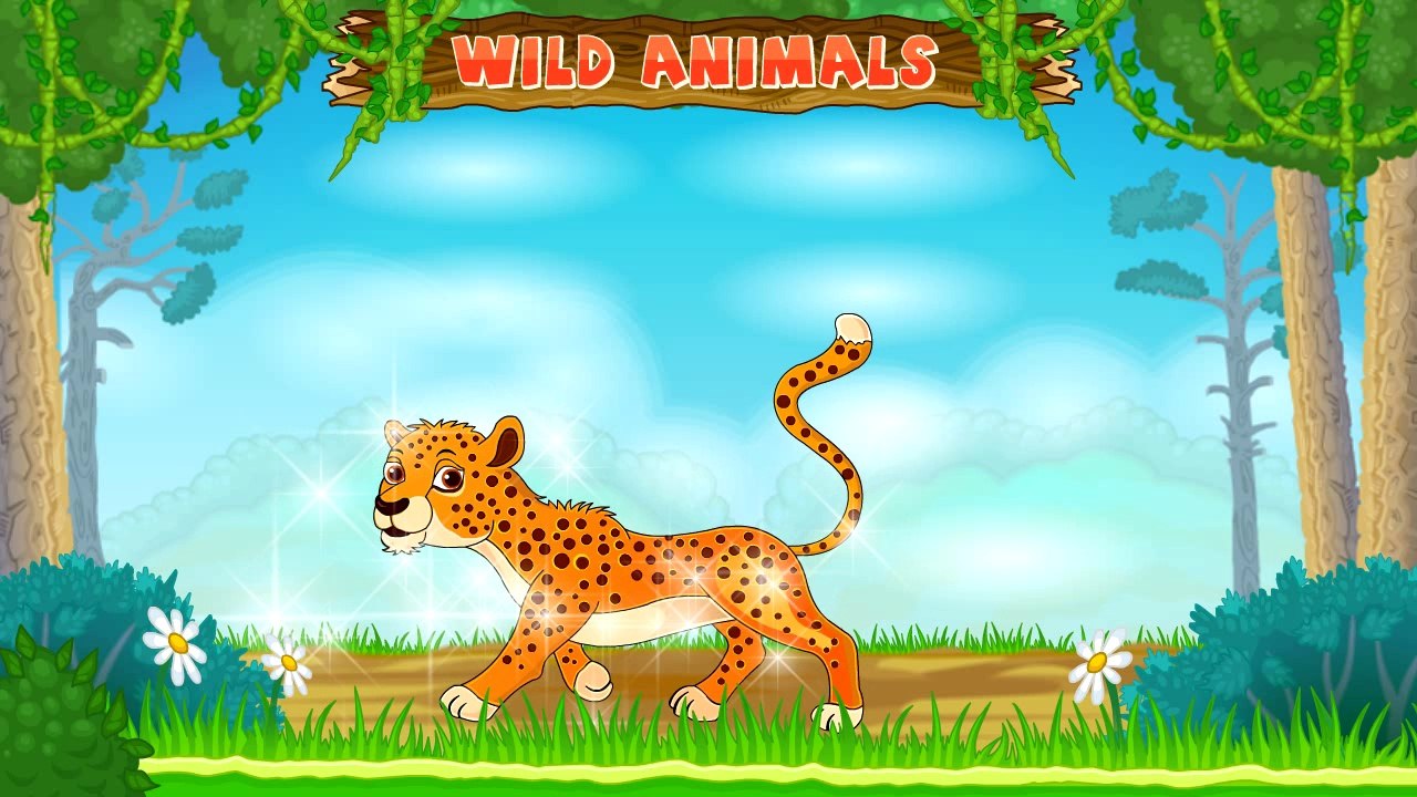 Types of Wild Animals | Animated Video For Kids | English - video  Dailymotion
