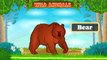 Types of Wild Animals | Animated Video For Kids | English