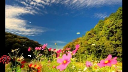 Have a nice day!... ...(music Ernesto Cortazar)... ...