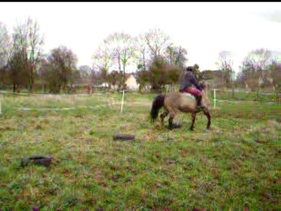 Helliot et poly 013