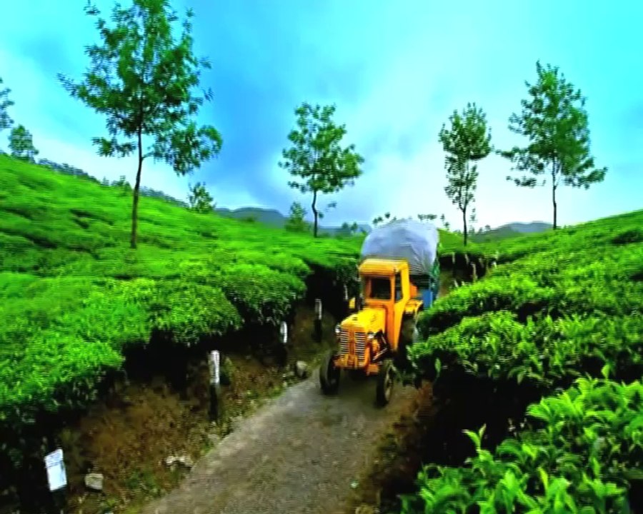 5 Summer Gateaways in India