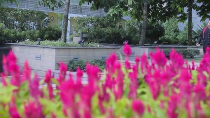 New Punjabi Sad Song - By Gul Muhammad