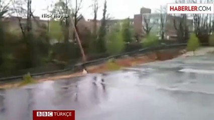 Kasabaya Gökten Balık Yağdı