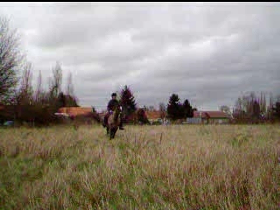 Helliot et poly 036