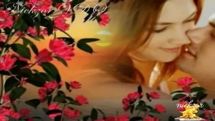 Funda Arar - Hayat Arkadaşı