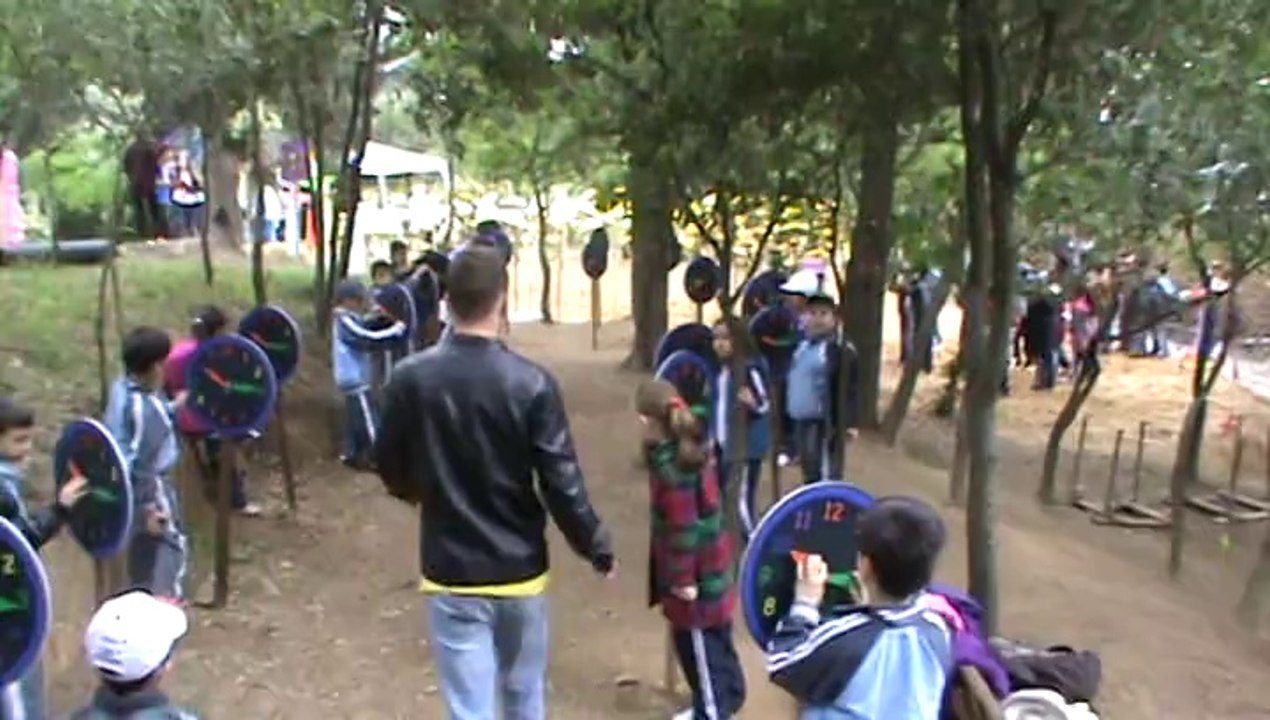 SURVİVOR-6