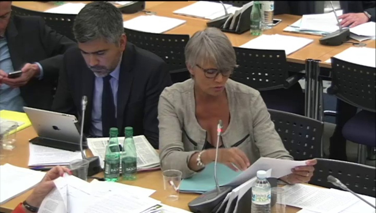 Véronique Massonneau - Commission des lois sur la loi Autorité parentale