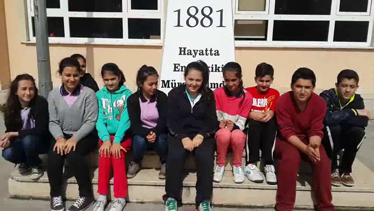 SAĞLIKLI ÖĞRENME ve GELİŞİM İÇİN MENTORLÜK