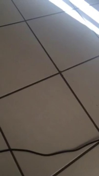 Lost love spell caster and psychic healer jamal +27727030702