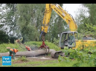 3300 arbres arrachés pour consolider les digues