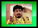 Adhi Raati Milli Jatt Nu | Surinder Shinda | Amli Da Tori Fulka | Popular Punjabi Songs