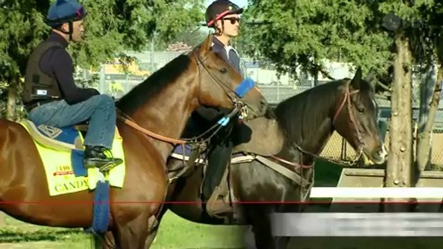 Kentucky Derby: How to Bet