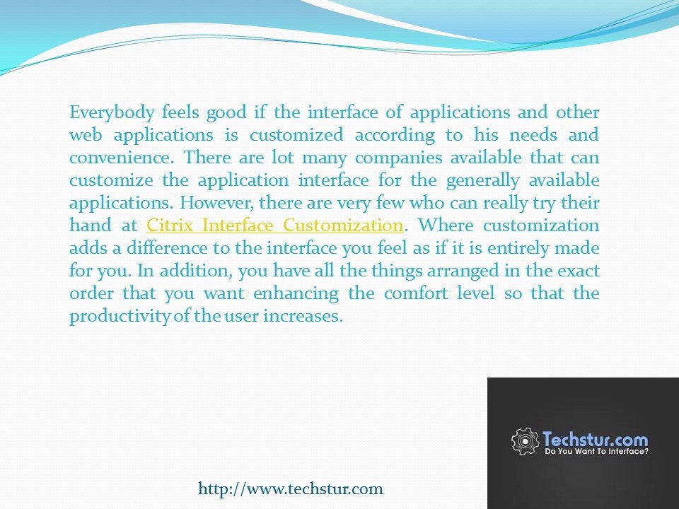 Interface Customization Services