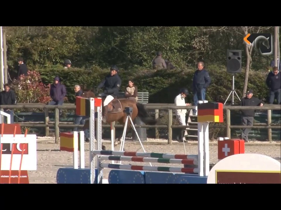 absinthe du loir quinoto bois margot x easy boy ecurie le grel