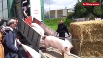 Lampaul-Guimiliau. 400 personnes pour réclamer les clés de l'ex-abattoir Gad