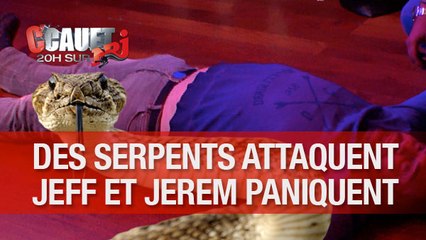 Deux serpents dans les manches de Jeff, Jerem panique !