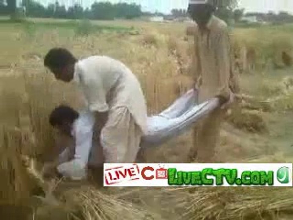 KPK introduce New Technology For Cutting Wheat