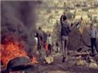 مقتطفات من "فلسطين تحت المجهر".. مناطق ج