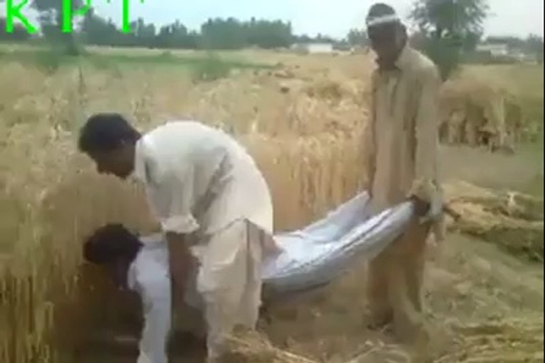 پاکستانیوں نے گندم کاٹنے والی مشین ایجاد کرکے ملک کا نام روشن کردیا دیکھے اور شیئر کریں اور دوستوں کو بتائیں۔