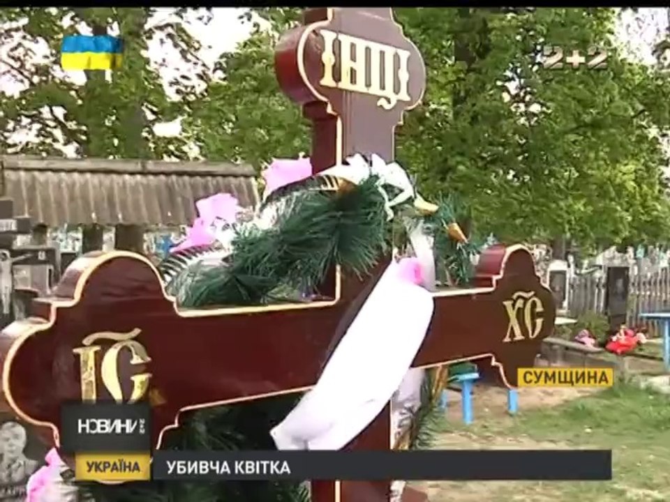 стрелок Ромашка 2+2