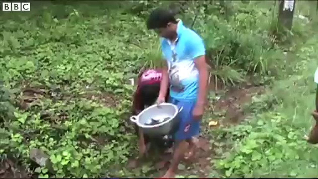 Il pleut des poissons au Sri Lanka