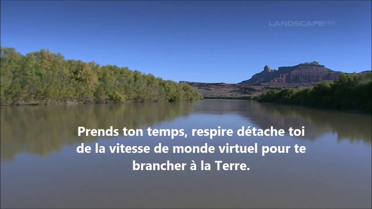 Réflexion (3) : Se reconnecter à l'essentiel