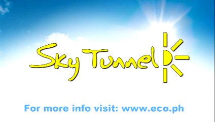 Sky Tunnel Skylights Installation - American Plaque Factory Inc