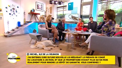 Loi ALUR : tout savoir sur les changements de préavis