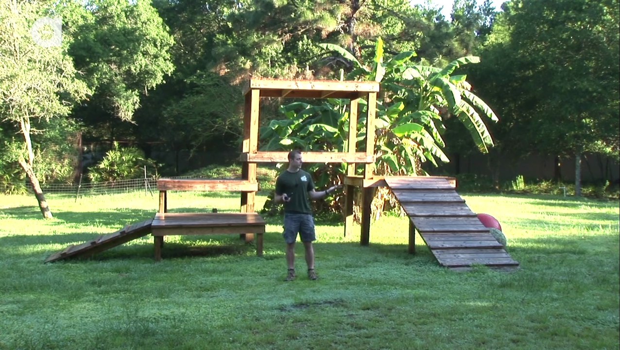 Help Build New Wild Cat Enclosure!