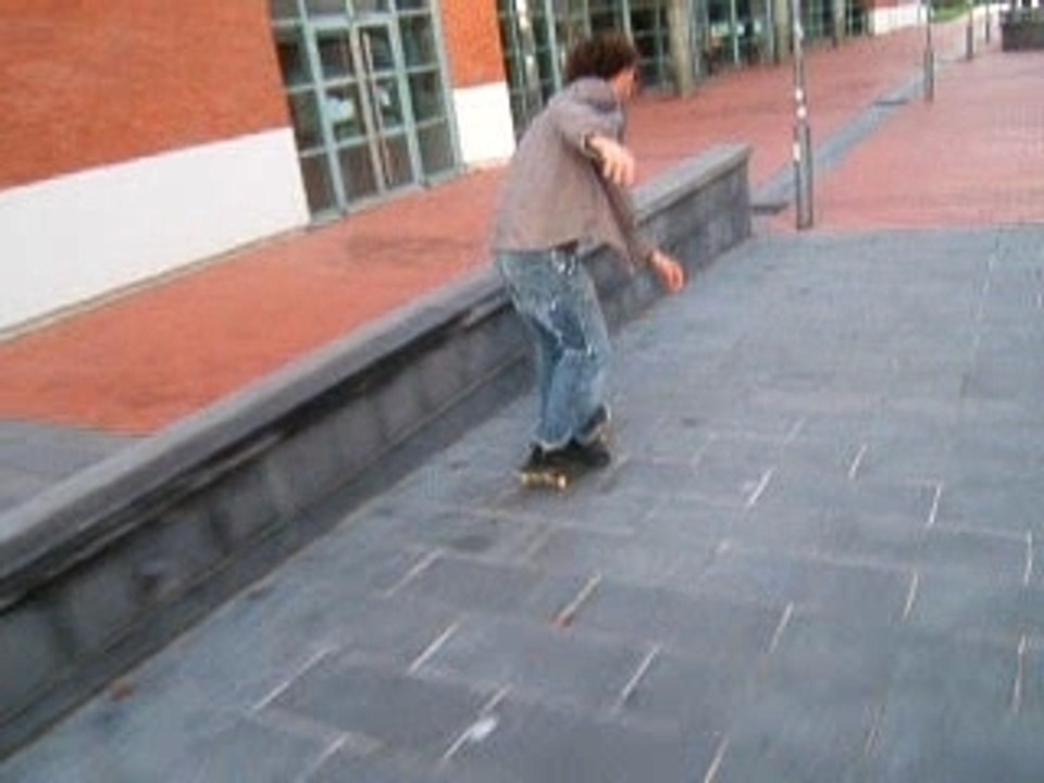 bullshit skate