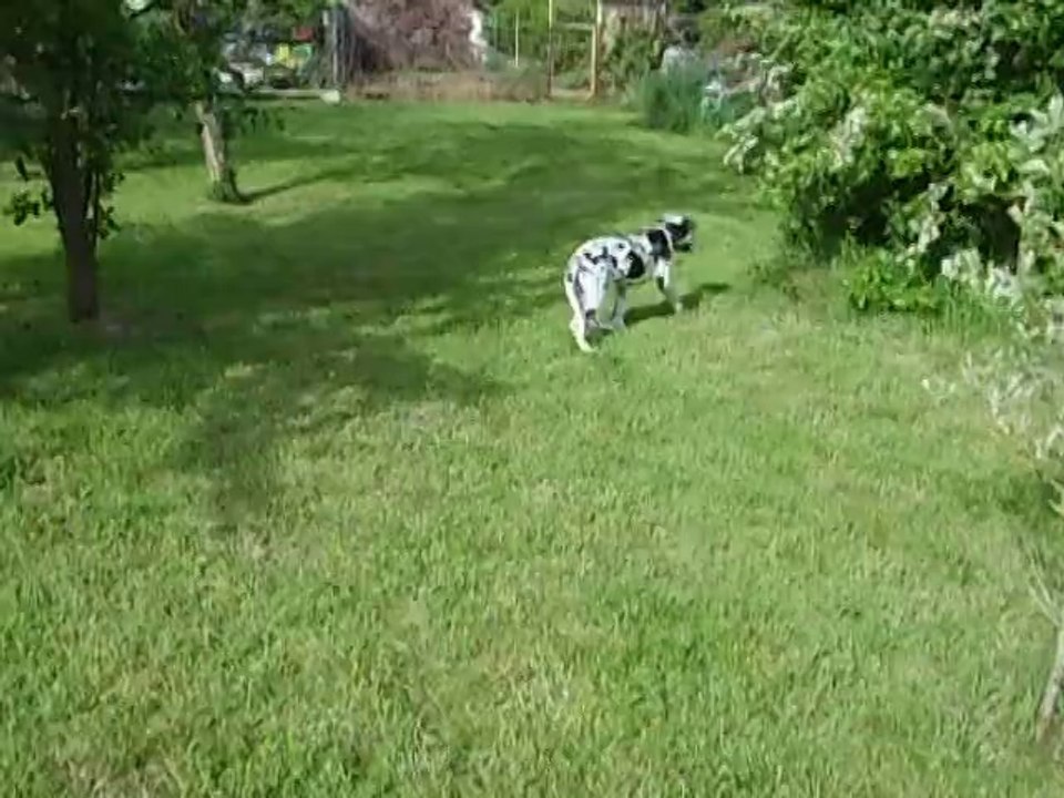 nenuko 3mois et deux semaines se defoule