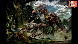 Paleontologists Discover New 