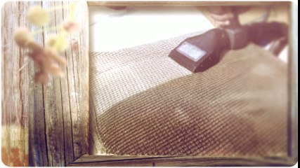 carpet cleaning mount laurel