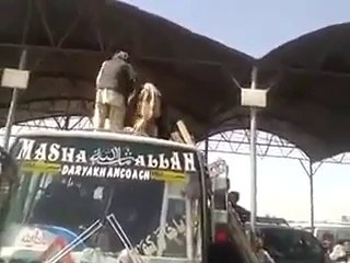 Donkey is traveling on the bus