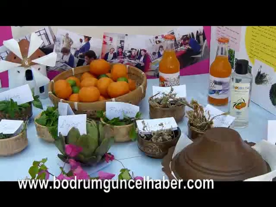 Bodrum Merkez Turgutreis Ortaokulu TUBİTAK Bilim Fuarı 07 Mayıs 2014
