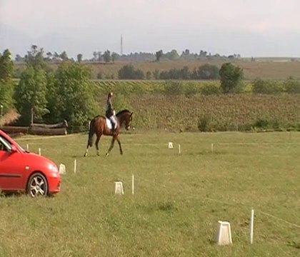 Déborah et Nikita, dressage amateur 2 CCE Trèbes, 3 mai 2014