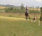 Déborah et Hadès, dressage amateur 1 Grand Prix, CCE Trèbes