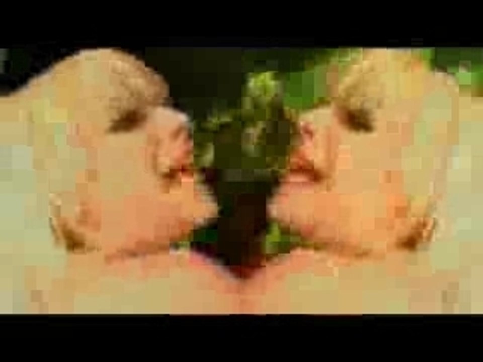 Vive La Fete Noir Desir