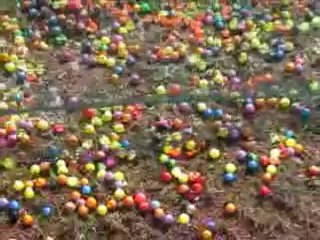 Millénkium Séries 2004: Maxs Masters