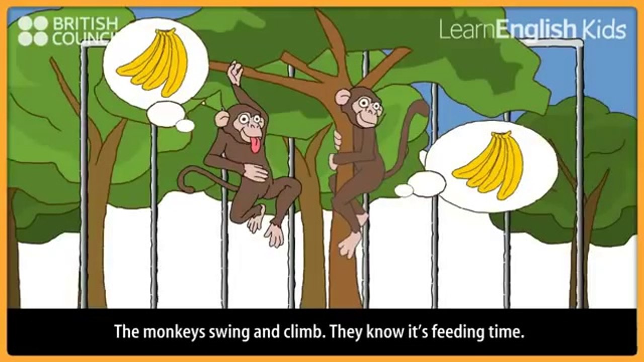 Idziemy do zoo - piosenki  po angielsku - dla przedszkolaka